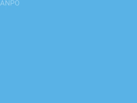 FOLIA BLUE.jpg
