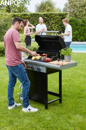 Grill spring 3112 5.png